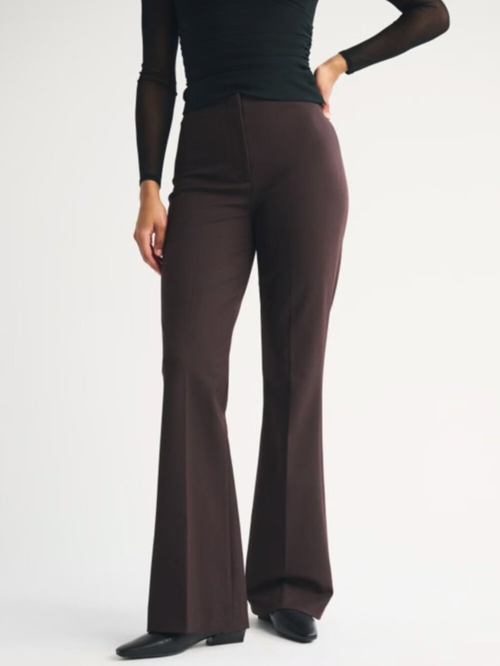 Abercrombie Forme Bootcut Pant Size 26 Short Dark Brown Coffee New With Tags